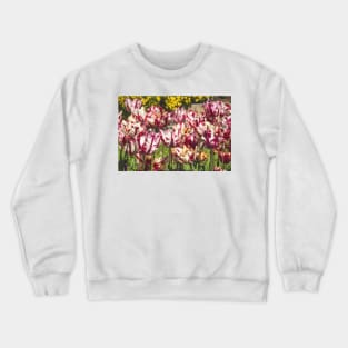 Tulip field Crewneck Sweatshirt